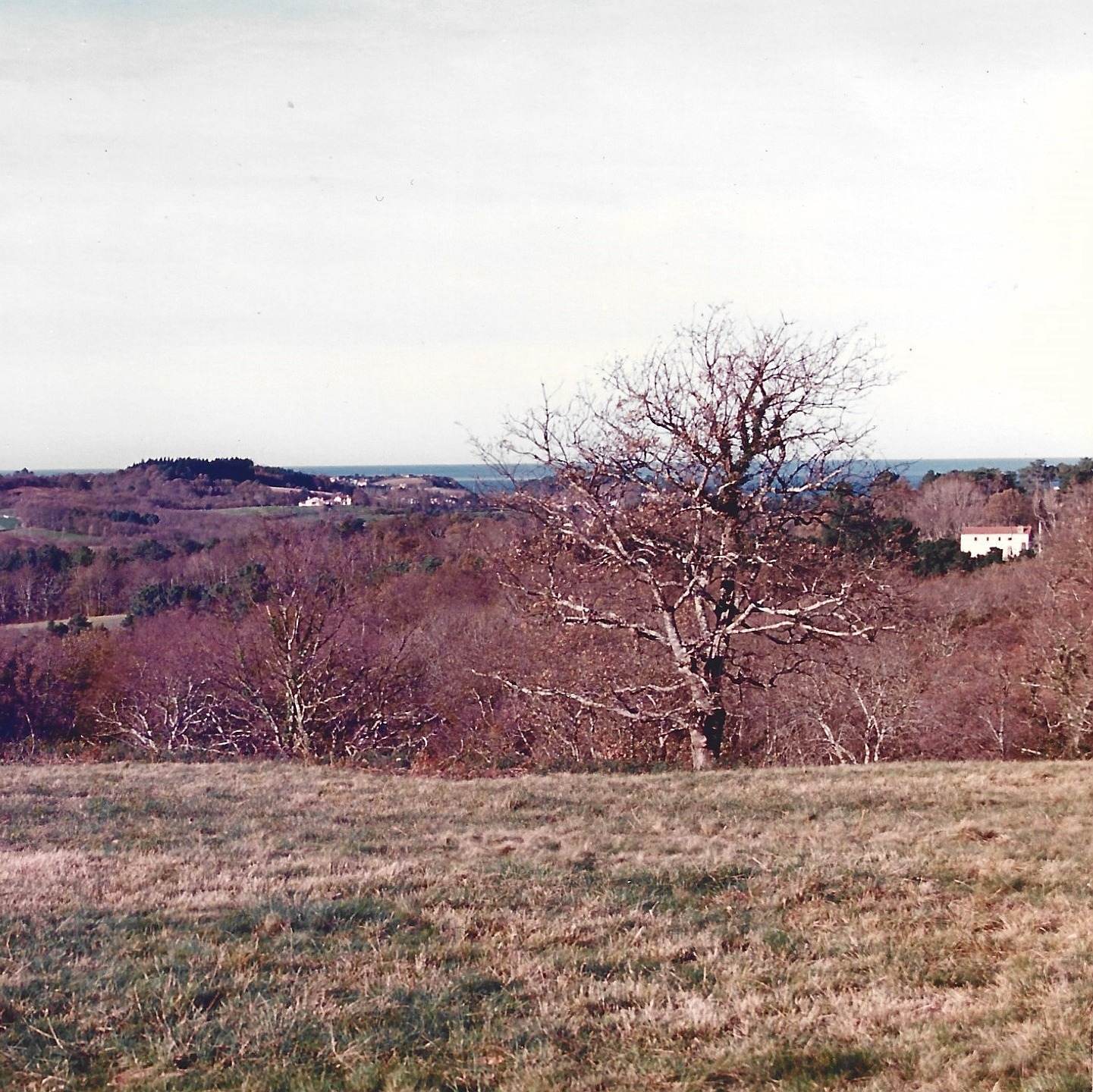 Photo de Pierre AIZPURUA